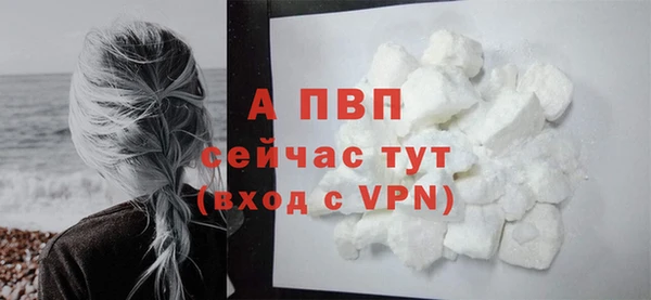 тгк Осташков