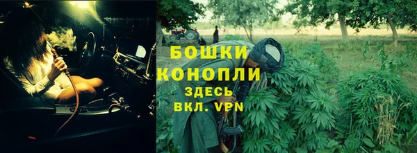 прущая мука Няндома