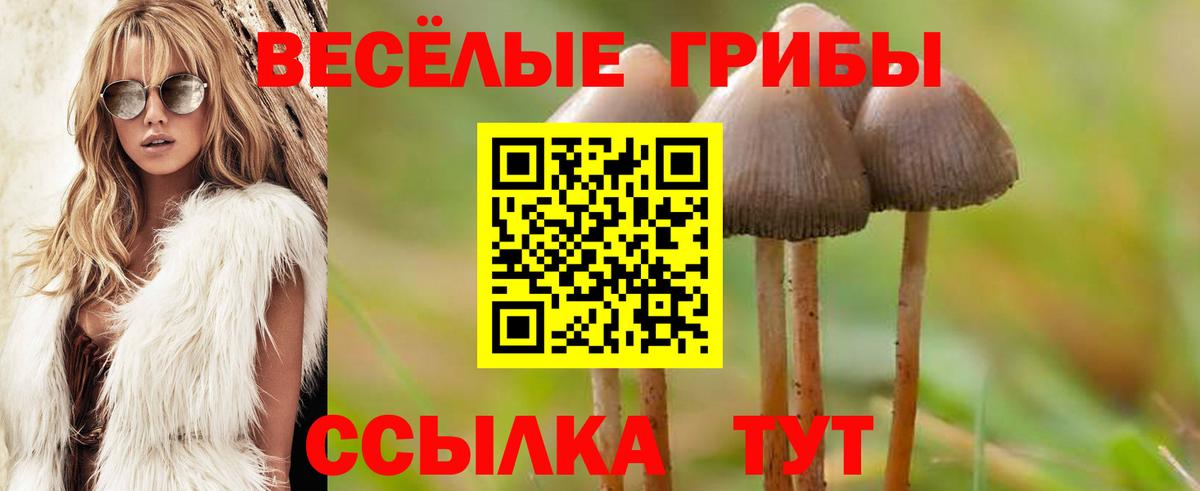 Соль-Илецк  Псилоцибиновые грибы Psilocybe  Вход с VPN 